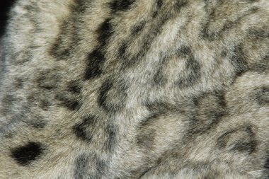 Kar leopar kürk doku