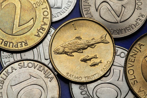 Coins of Slovenia — Stock Photo, Image