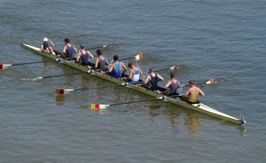 Rowing Team clipart