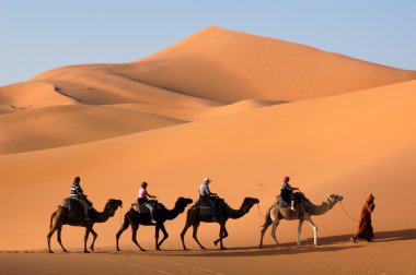 sahara Çölü'nde deve karavan