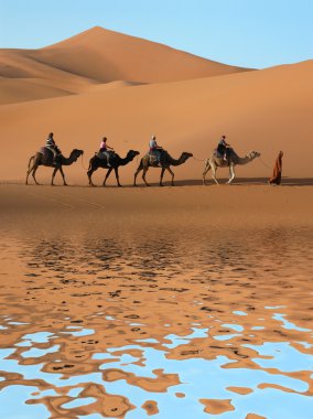 sahara Çölü'nde deve karavan