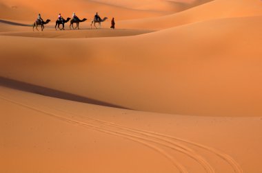 sahara Çölü'nde deve karavan