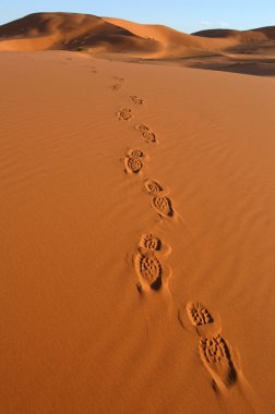 ayak izlerini Sahra Çölü
