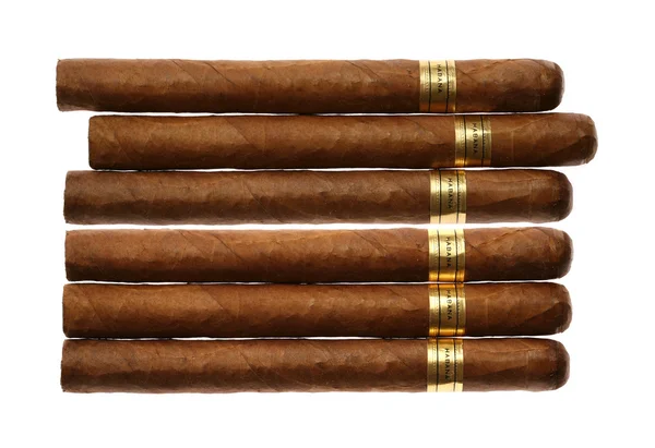 Havanna cigarrer Set — Stockfoto