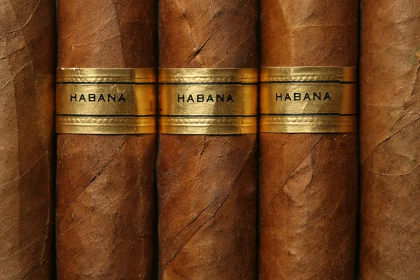 La Habana cigarros textura —  Fotos de Stock