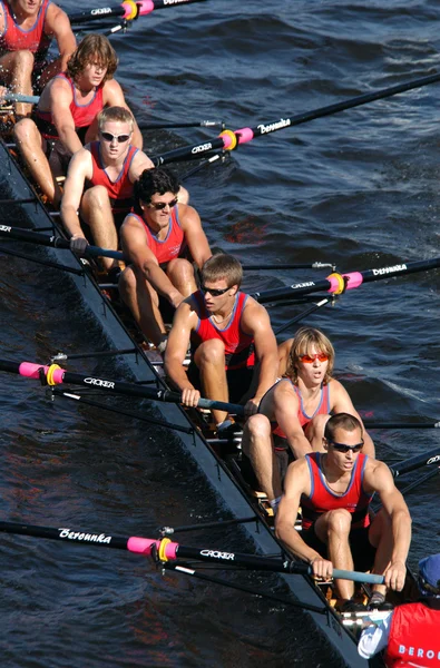 Rowing Team — Stock Photo, Image