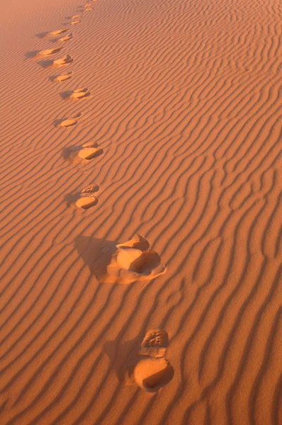 Pasos en el desierto del Sahara — Foto de Stock