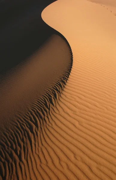 Sahara Desert — Stock Photo, Image