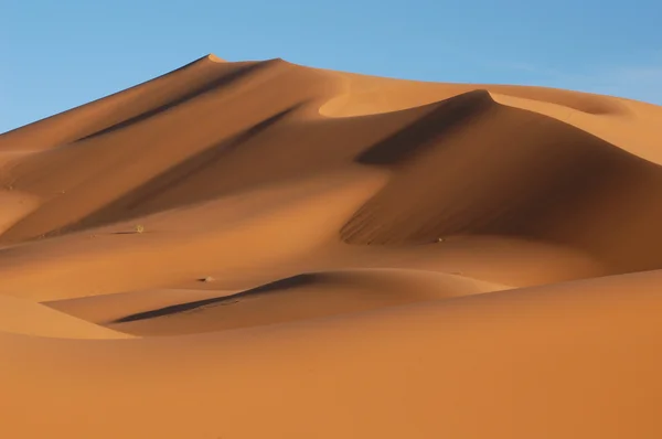 Έρημο Σαχάρα — Φωτογραφία Αρχείου