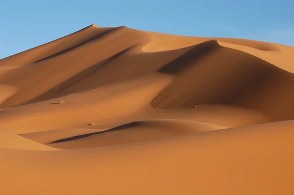 Sahara Desert — Stock Photo, Image