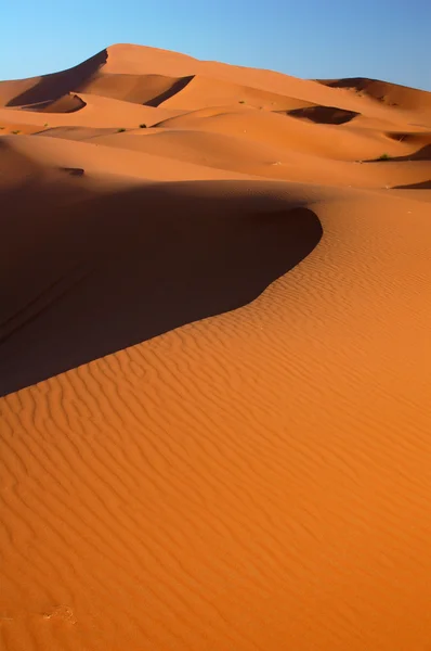 Deserto del Sahara — Foto Stock