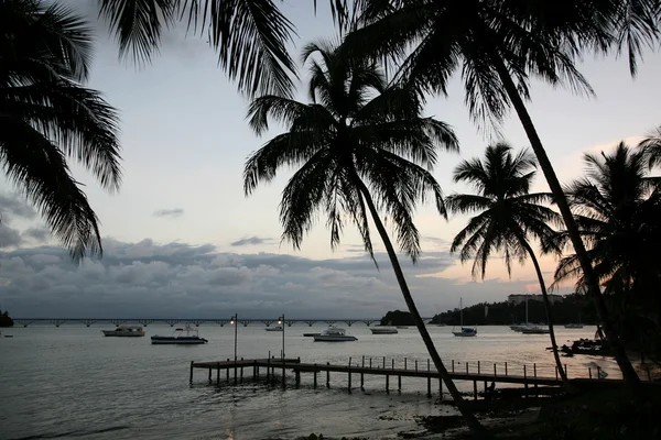 Puesta de sol del Caribe — Foto de Stock