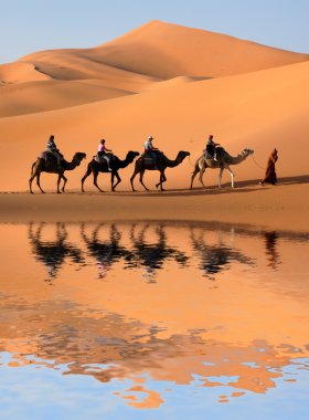 Camel Caravan in Sahara Desert clipart
