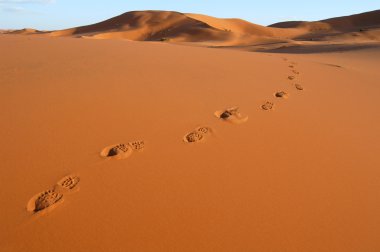 ayak izlerini Sahra Çölü