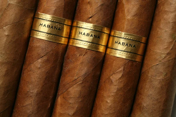 Гаванские сигары — стоковое фото