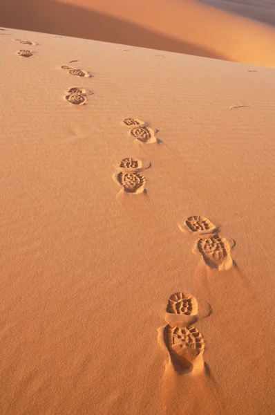 在撒哈拉沙漠的脚步声 — 图库照片