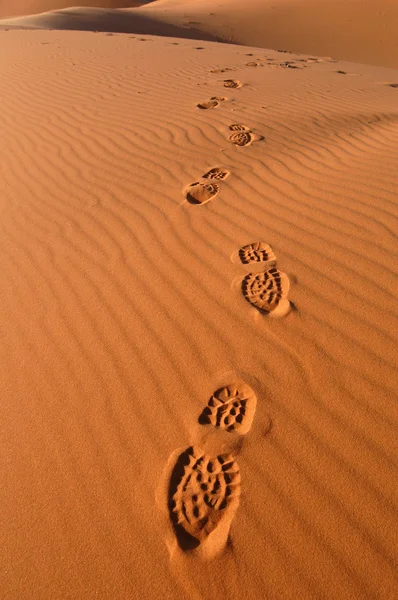 在撒哈拉沙漠的脚步声 — 图库照片