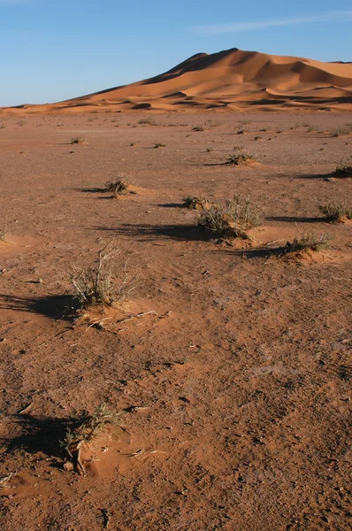 Sahara desierto — Foto de Stock