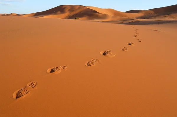 Le orme nel deserto del Sahara — Foto Stock