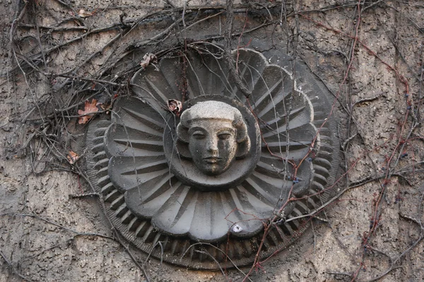 Oude mascaron begroeid met klimplanten — Stockfoto