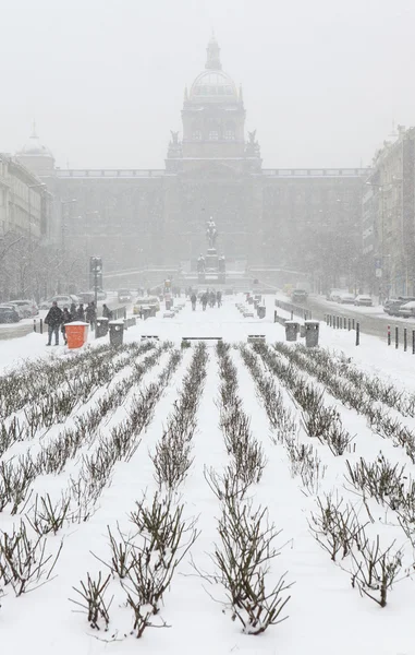 Сильный снегопад над Вацлавской площадью — стоковое фото