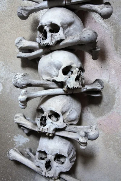 Human bones and skulls — Stock Photo, Image