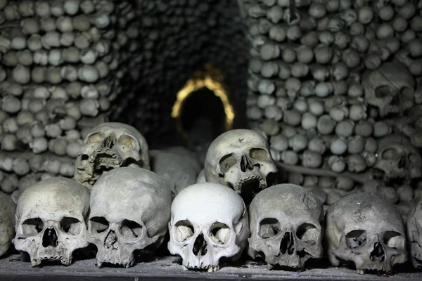 Human bones and skulls — Stock Photo, Image