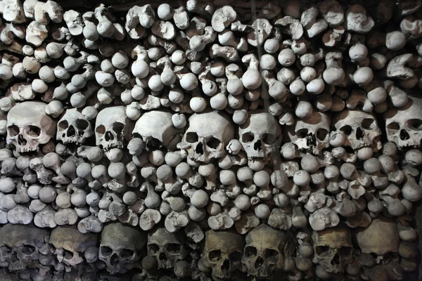 Human bones and skulls — Stock Photo, Image