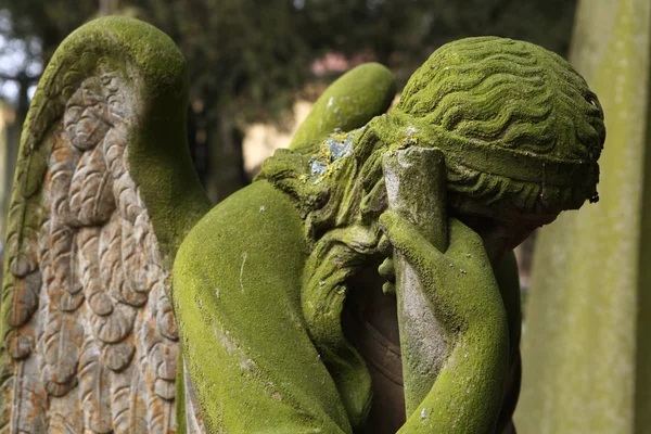 Mourning angel at the cemetery — Stock Photo, Image