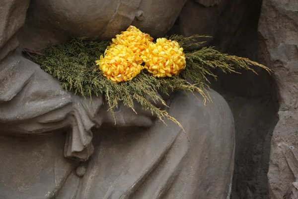 Žlutá chryzantéma na hřbitově v Jaroměři — Stock fotografie
