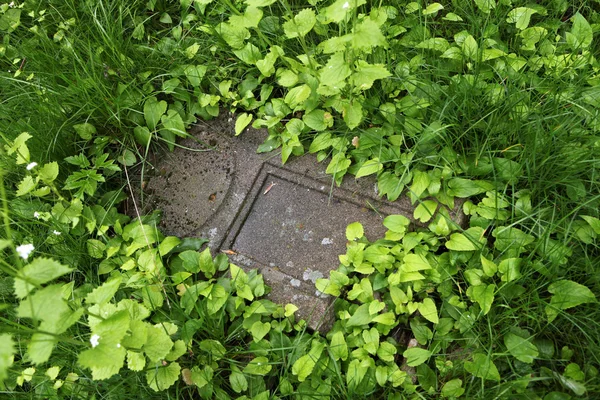 Tumba caída en un cementerio abandonado . —  Fotos de Stock