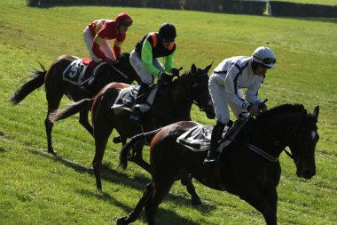 Velka Pardubicka hendekli Pardubice içinde