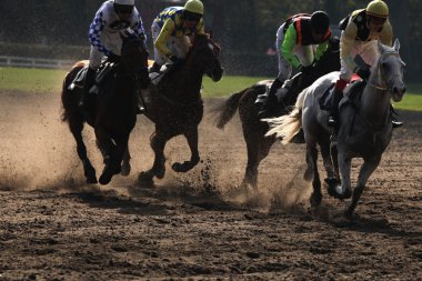Velka Pardubicka hendekli Pardubice içinde