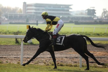Velka Pardubicka hendekli Pardubice içinde