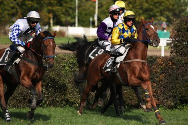 Velka Pardubicka hendekli Pardubice içinde