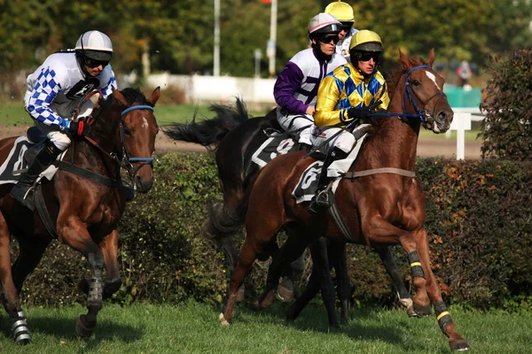 Velká pardubická Steeplechase v Pardubicích — Stock fotografie