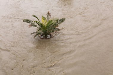 Seller Prag, Çek Cumhuriyeti