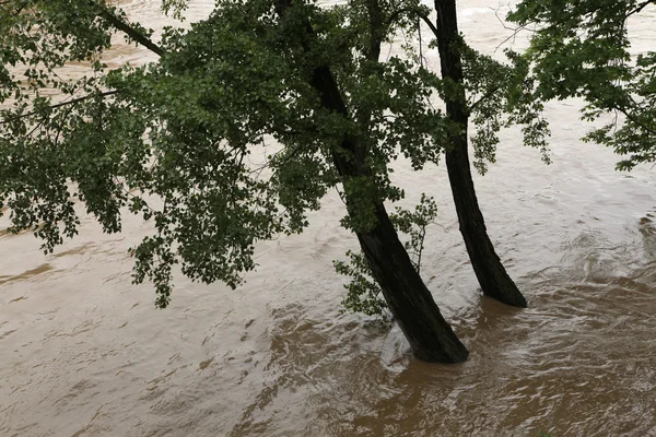 Floods in Prague, Czech Republic — Stock Photo, Image