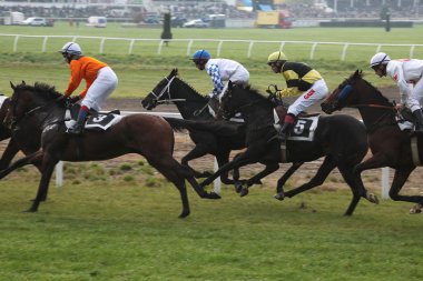 Velka Pardubicka hendekli Pardubice içinde