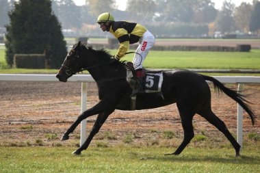 Velka Pardubicka hendekli Pardubice içinde