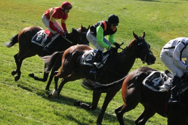 Velka Pardubicka hendekli Pardubice içinde