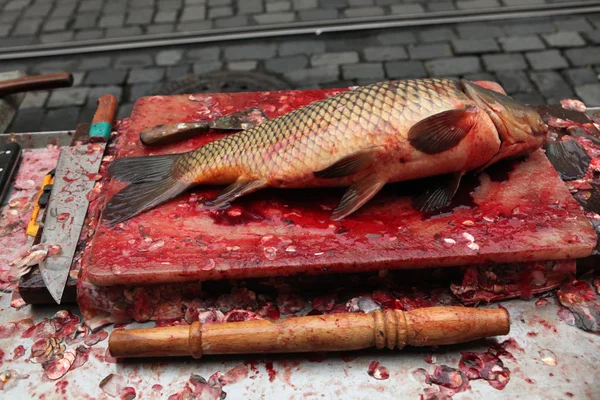 신선한 죽된 잉어 — 스톡 사진