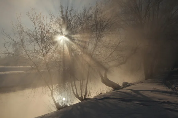 Gelo sugli alberi a Ekaterinburg — Foto Stock