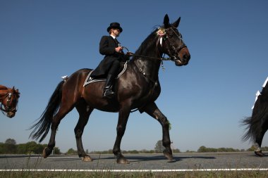 Sorbian Easter Riders in Upper Lusatia clipart