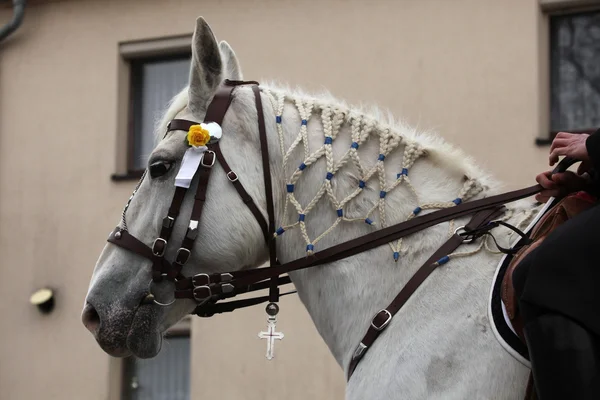 Cavalieri di Pasqua sorbi in Alta Lusazia — Foto Stock