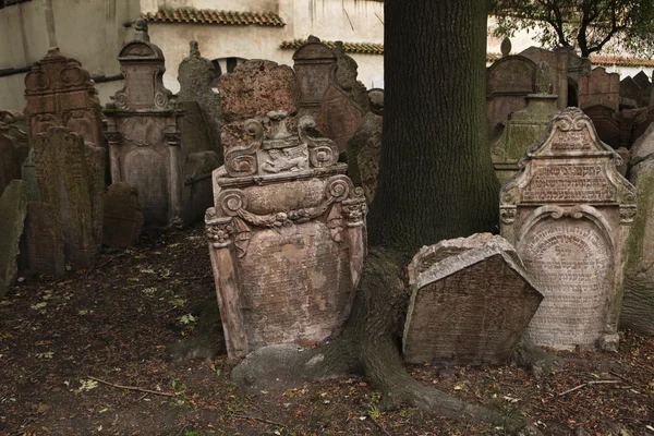 Gamla judiska kyrkogården i Prag — Stockfoto