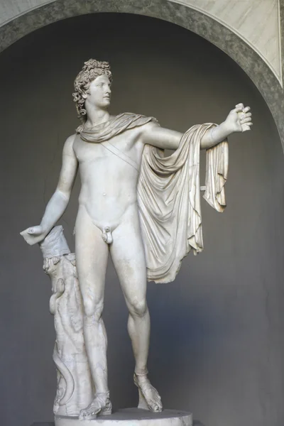 Römische Marmorstatue apollo belvedere — Stockfoto