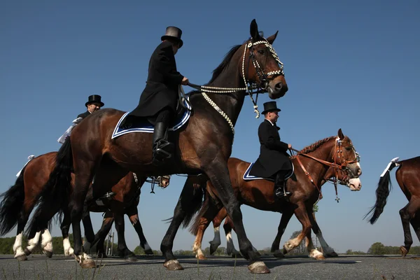 Sorbian Easter Riders en Upper Lusatia — Foto de Stock