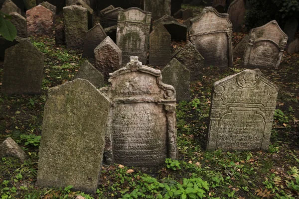 Régi zsidó temető Prágában — Stock Fotó