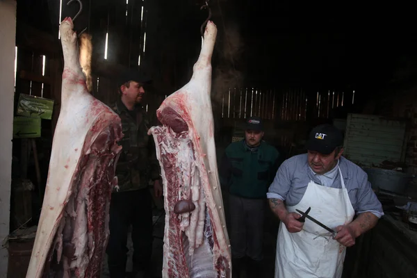 Matanza pública de cerdos Shrovetide — Foto de Stock